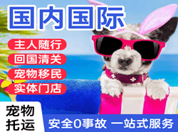 白山长白山空运国际宠物托运 【国